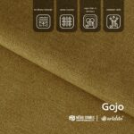 Gojo